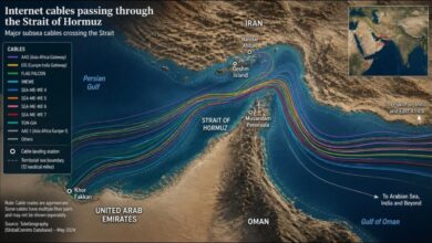Undersea fiber optic cables on the ocean floor, representing a digital chokepoint.