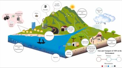 Microplastics contaminating ocean water, showing their threat to marine life and carbon absorption.