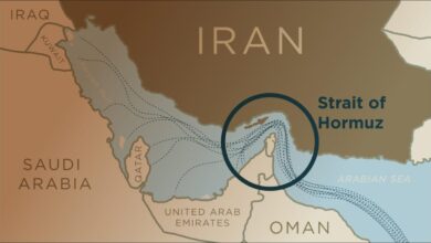 Large cargo ships navigate the strategic Strait of Hormuz waterway.