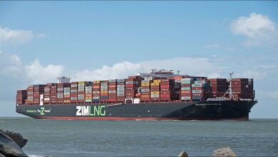 Multiple large container ships filled with cargo docked at a busy port.