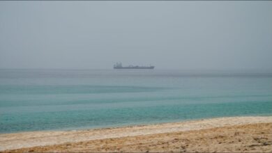 A large cargo ship navigates calm waters, illustrating maritime activity in the Strait of Hormuz.