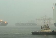 Vessels Wide India, Volans, and Viking Passama after a breakaway incident in Brisbane, Australia.