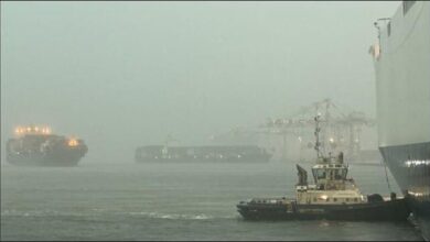 Vessels Wide India, Volans, and Viking Passama after a breakaway incident in Brisbane, Australia.