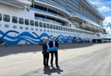 Cruise ship connected to shore power at Skagen port.