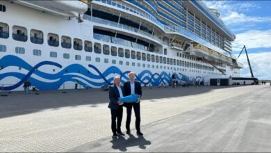 Cruise ship connected to shore power at Skagen port.
