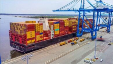 A large container ship docked at a busy port, representing JAXPORT's expanded global services.