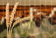 A large cargo ship is loaded with wheat from silos at a busy port facility.