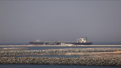 Container ships and gantry cranes operate at a modern port, symbolizing maritime trade development.