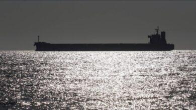 A large cargo ship sails near a port in Ukraine during the ongoing crisis.