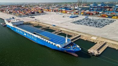Cargo ships at DP World's Constanta Ro-Ro terminal.
