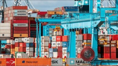 Container ships and cranes at a busy port, illustrating operations impacted by the heatwave.