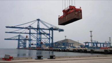 Large cargo ships at the strategic Chinese-built Chancay Port in Peru.