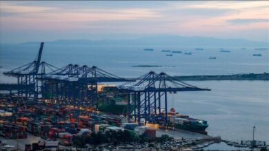 Cargo ships and cranes operate at a bustling port, reflecting global supply chain diversification and sustainable shipping.