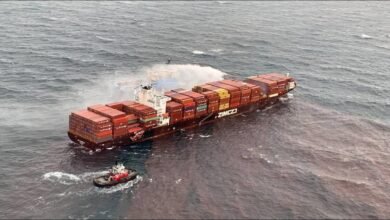 A large container ship sails the ocean, reflecting ZIM's strong shipping performance.