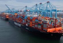 Hapag-Lloyd container ships docked at APM Terminals Rotterdam.