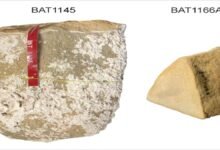 Ancient cargo recovered from the infamous 1629 Batavia shipwreck.
