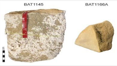 Ancient cargo recovered from the infamous 1629 Batavia shipwreck.