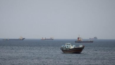 A large cargo ship navigates the vital Strait of Hormuz shipping lane.