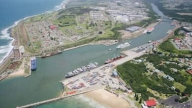 Cargo vessels and cranes at the East London port in South Africa.