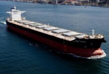 A large bulk carrier ship sails on the sea, representing Star Bulk Carriers' fleet.