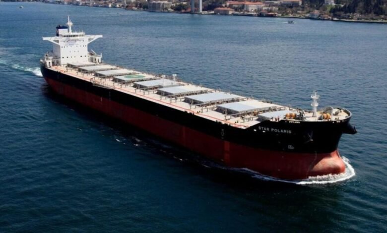 A large bulk carrier ship sails on the sea, representing Star Bulk Carriers' fleet.