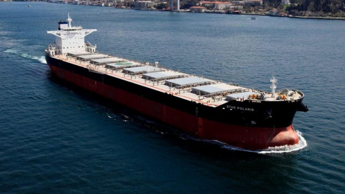 A large bulk carrier ship sails on the sea, representing Star Bulk Carriers' fleet.