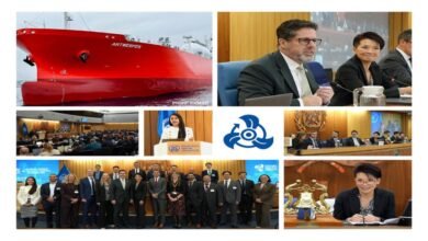 Participants at the IMO technical seminar on ammonia as a marine fuel.