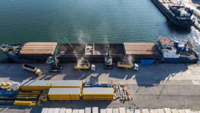 A large cargo ship with cranes docked at a port for heavy lift operations.