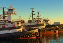 Two commercial tugboats navigate a California harbor.