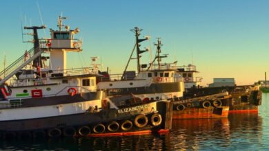 Two commercial tugboats navigate a California harbor.
