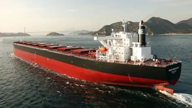A large Newcastlemax bulk carrier ship sails on the open ocean.