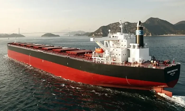 A large Newcastlemax bulk carrier ship sails on the open ocean.