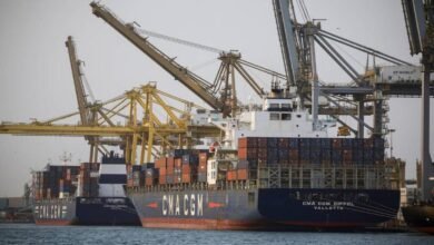 Container ships and cranes at a busy European port terminal.