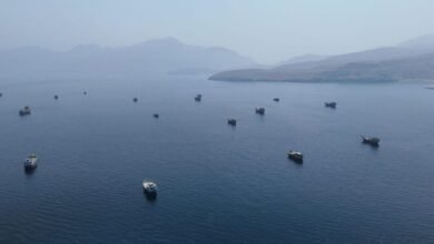 A large cargo ship transits through the strategic Strait of Hormuz.