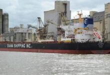 The Diana Shipping Kamsarmax bulk carrier m/v Astarte navigates on the ocean.