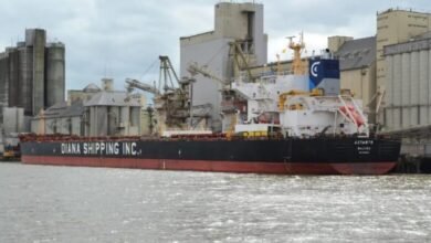 The Diana Shipping Kamsarmax bulk carrier m/v Astarte navigates on the ocean.