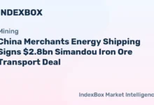 A large grey bulk carrier ship sails across the water, representing iron ore freight.