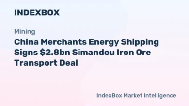 A large grey bulk carrier ship sails across the water, representing iron ore freight.