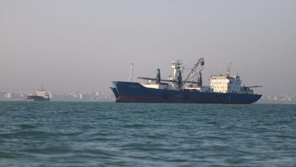 Bulk Carrier Sinks After Hormuz Strike, Container Ship Also Lost