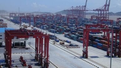Container ships docked at the advanced Yangshan Deep-water Port of Shanghai, with multiple cranes loading cargo.