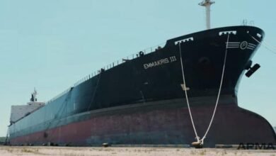 The seized bulk carrier Emmakris III, to be auctioned by Ukraine.