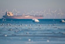 An offshore wind turbine stands at sea, symbolizing climate protection and clean energy efforts.