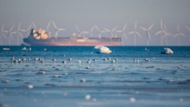 An offshore wind turbine stands at sea, symbolizing climate protection and clean energy efforts.