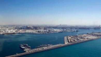 A modern DP World logistics center with shipping containers and trucks.