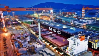 Large cargo ships under construction at a sprawling Chinese shipyard facility.
