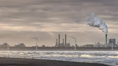 Offshore industrial platform and pipeline infrastructure for carbon capture and storage operations.