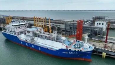 CMB.TECH's Mineral Europa, the world's first ammonia-fuelled bulker, docked in Zhoushan.