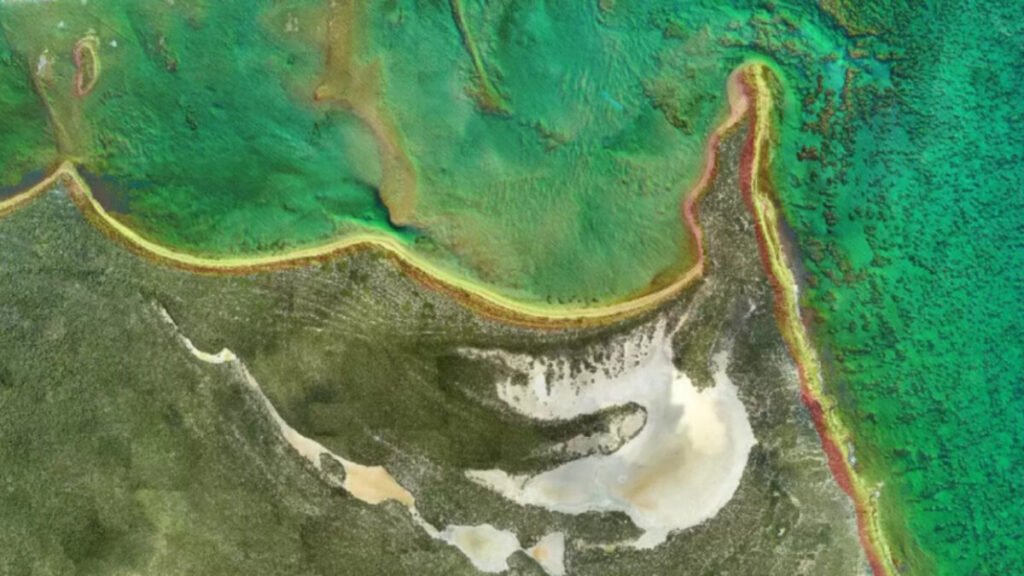 NOAA Selects Fugro for Florida Geo-data Survey