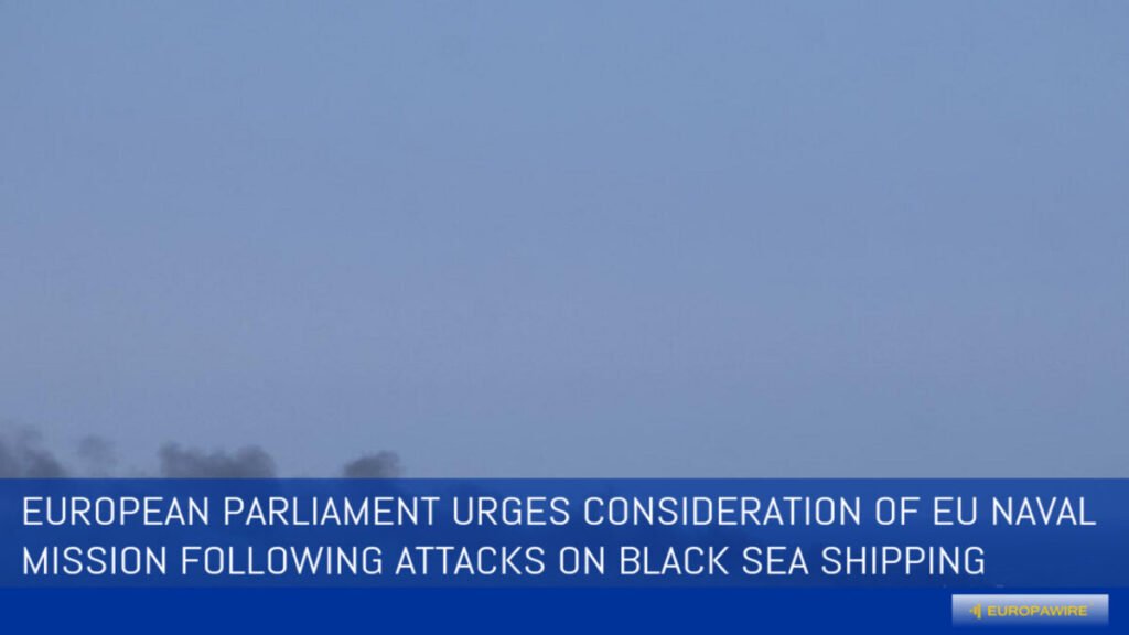 EU Parliament Calls for Black Sea Naval Mission
