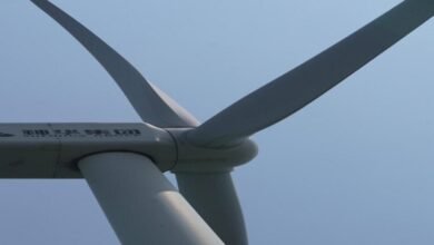 Offshore wind turbines spin, generating power, reflecting China's investment in green energy.